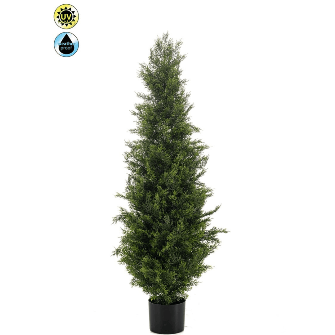 Cedar UV Tree 120cm - Sutherland Interiors