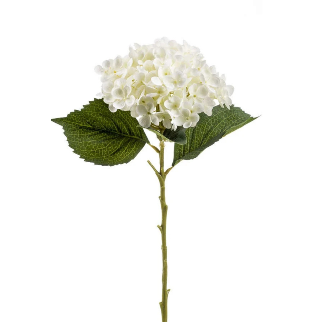 Hydrangea Annabelle Stem 52cm cream