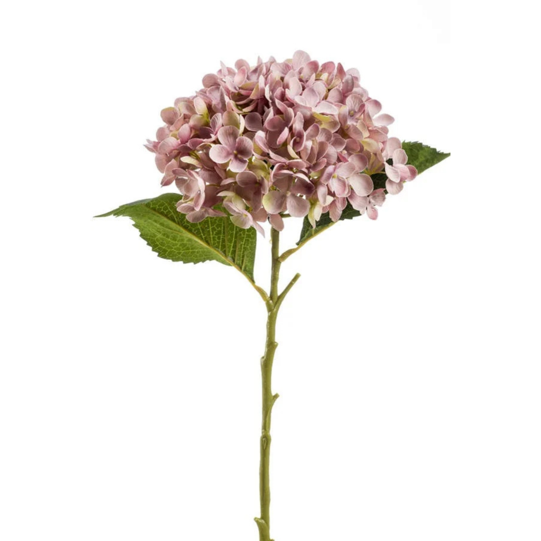 Hydrangea Annabelle stem 52cm purple