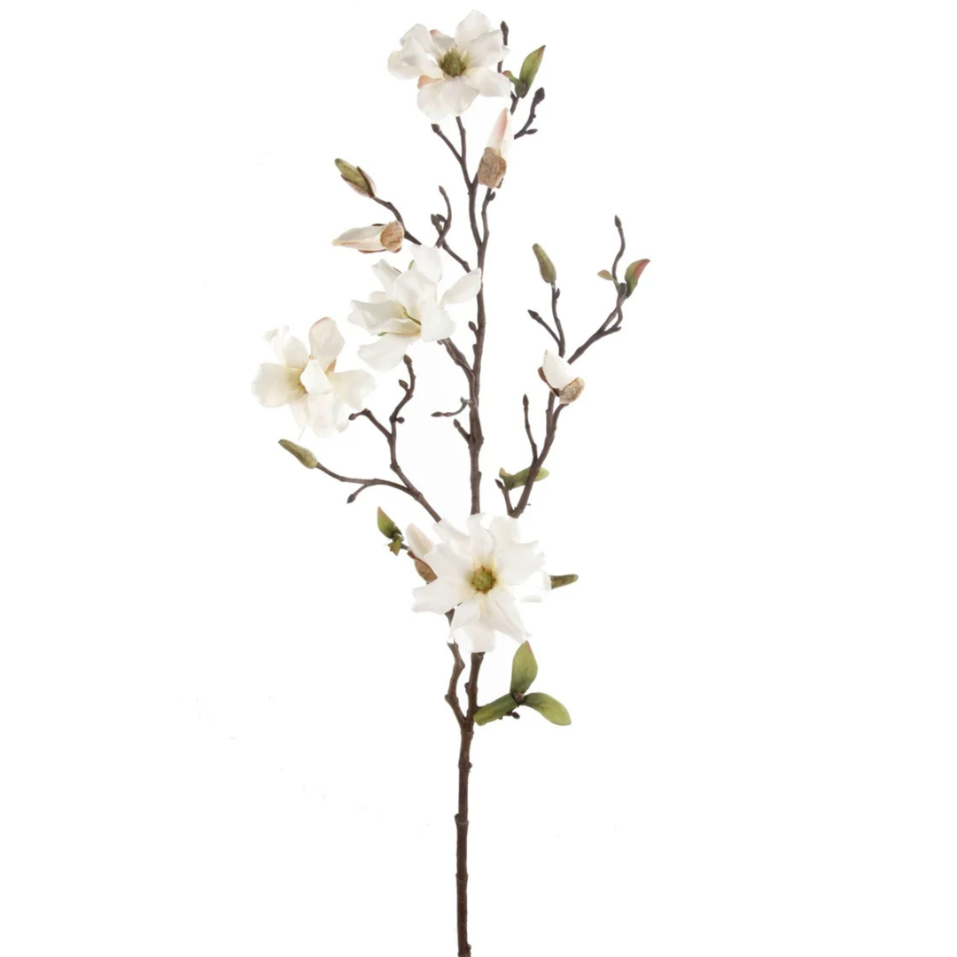 Magnolia Wild Spray 75cm Cream