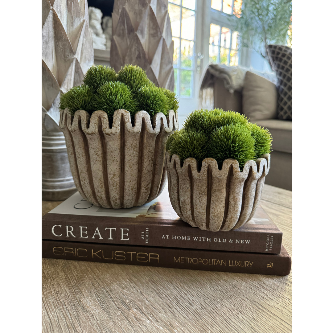 Dianthus in Sand Stone Ripple Vase