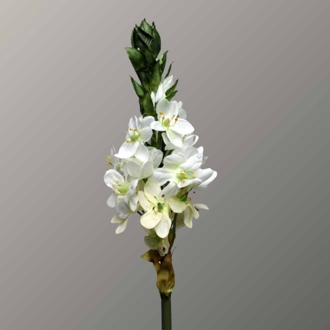 Ornithogalum Spray - Sutherland Interiors