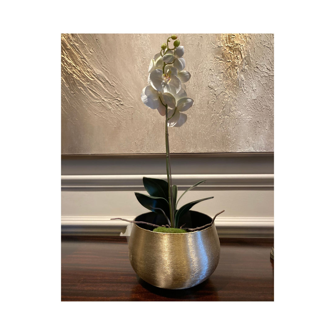 White Orchid Small