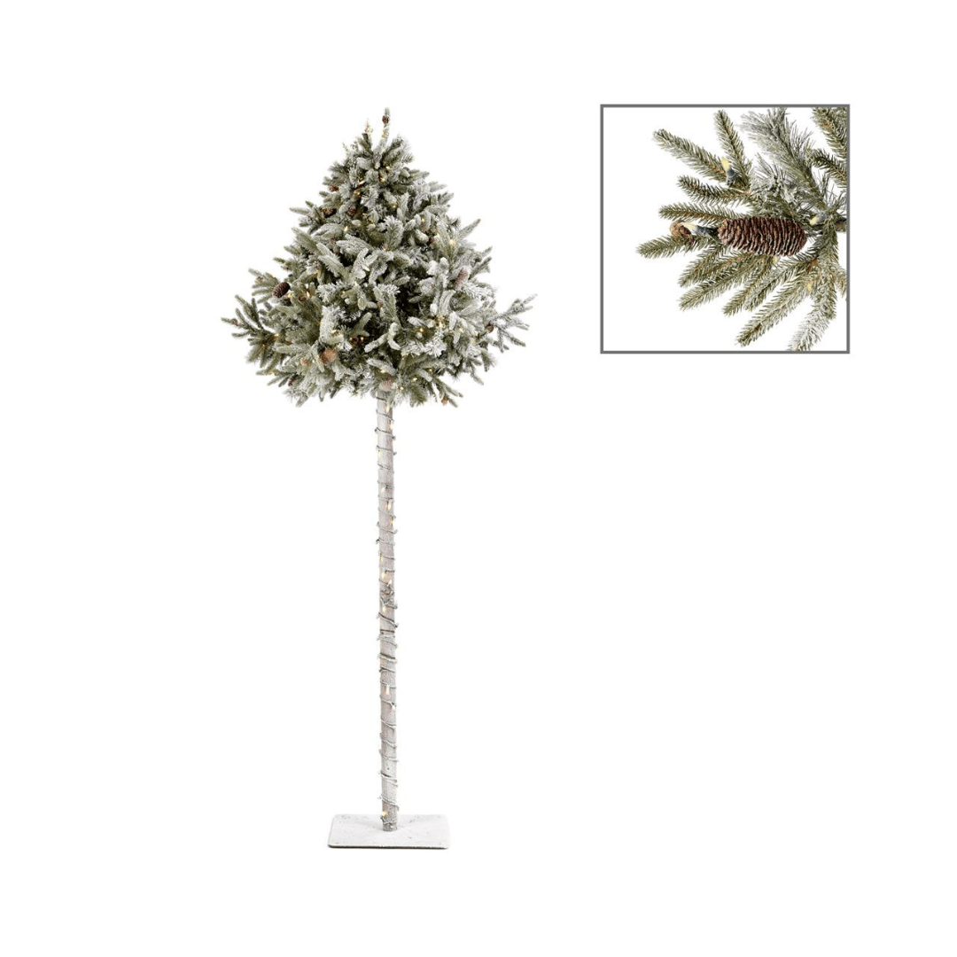 250 LED PINE TREE 240CM - Sutherland Interiors