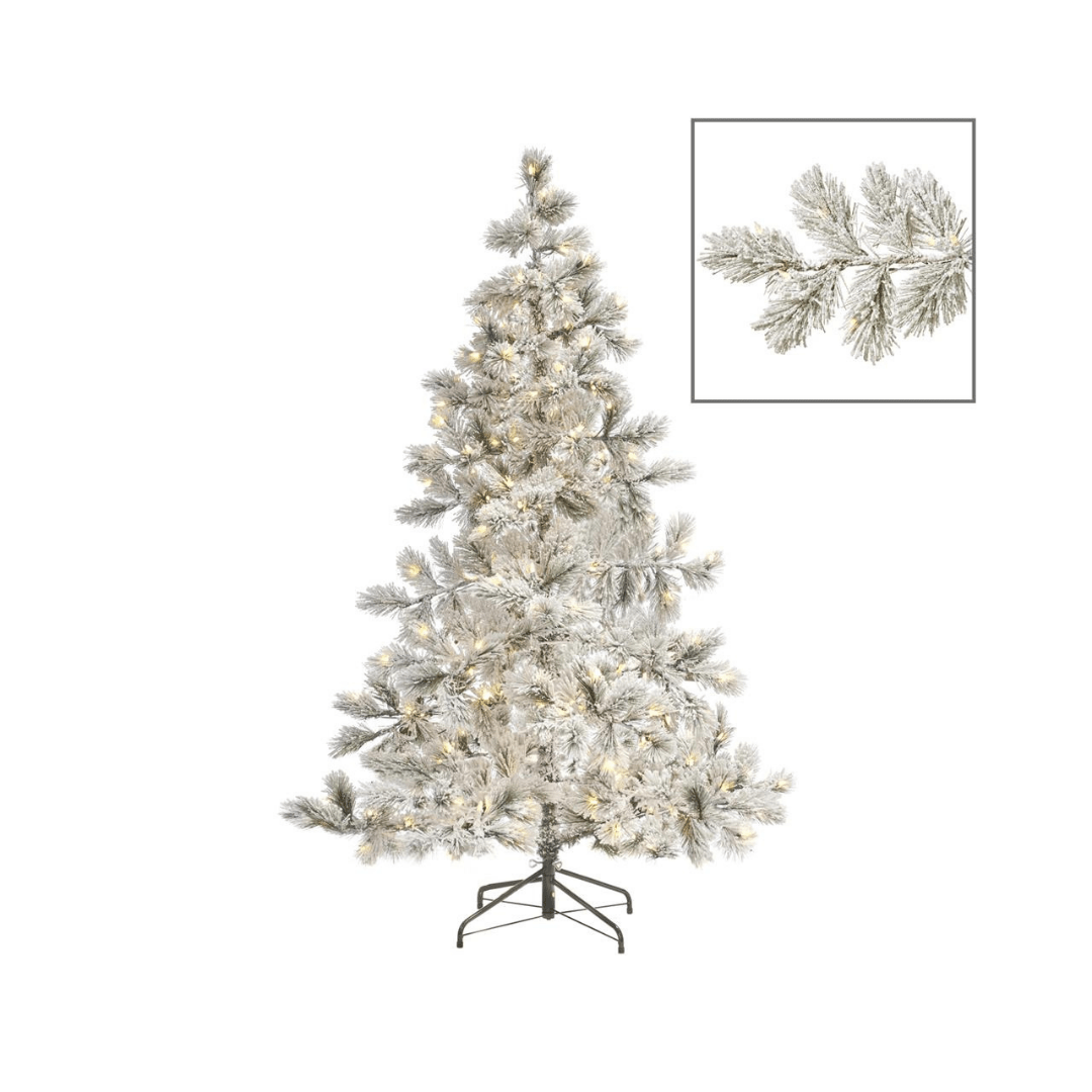 300 LED PINE TREE 180CM - Sutherland Interiors