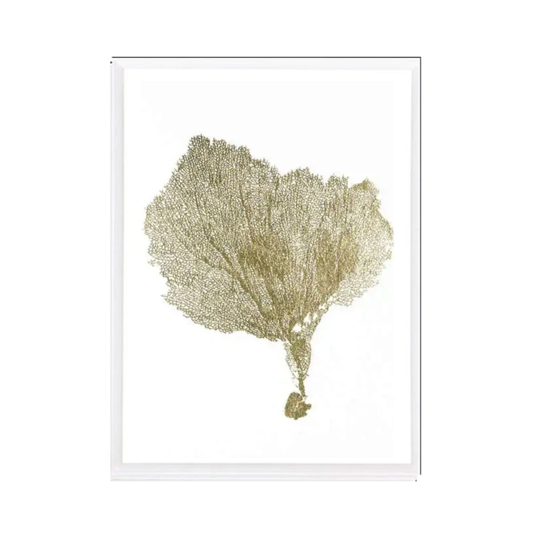 Gold Foil Sea Fan in a Frame