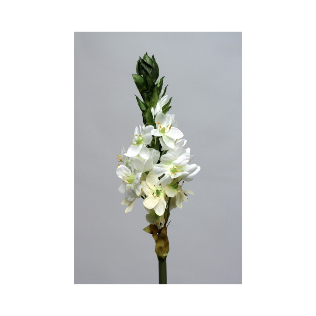 Ornithogalum Spray 59cm