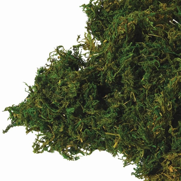 Bag of Natural Moss