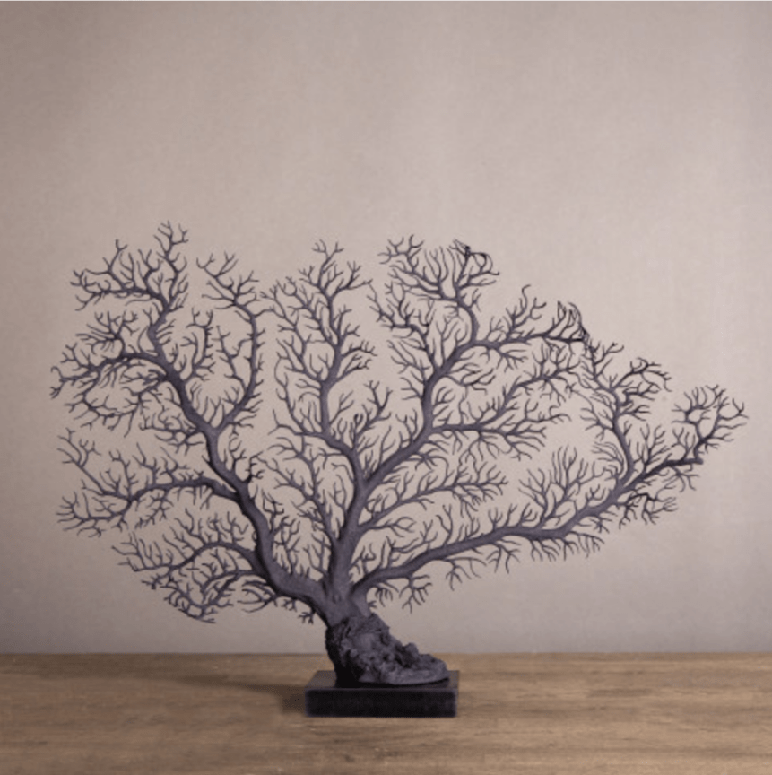 Black Sea Fan - Sutherland Interiors
