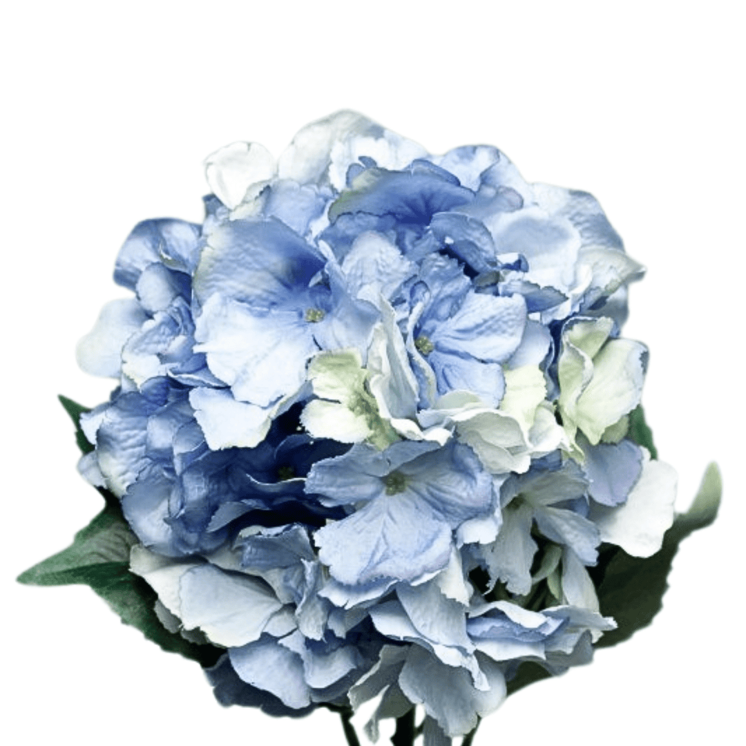 Blue Hydrangea - Sutherland Interiors