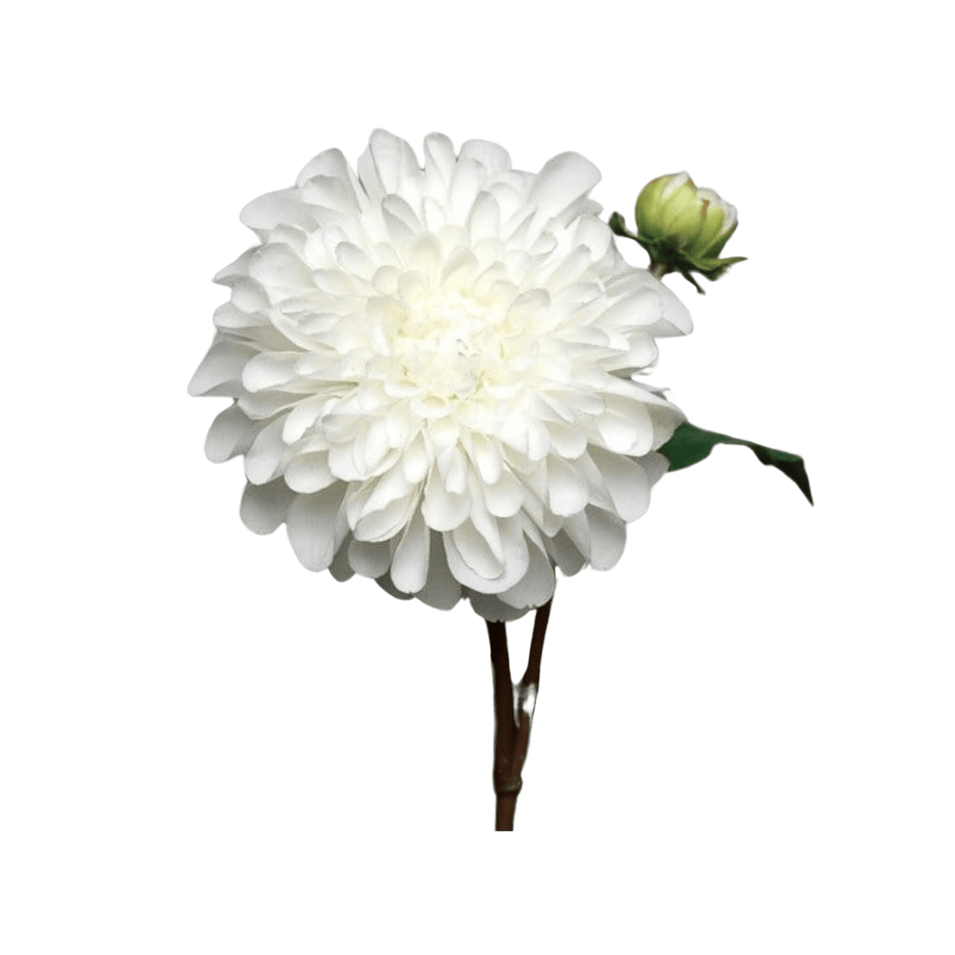 Dahlia - Sutherland Interiors