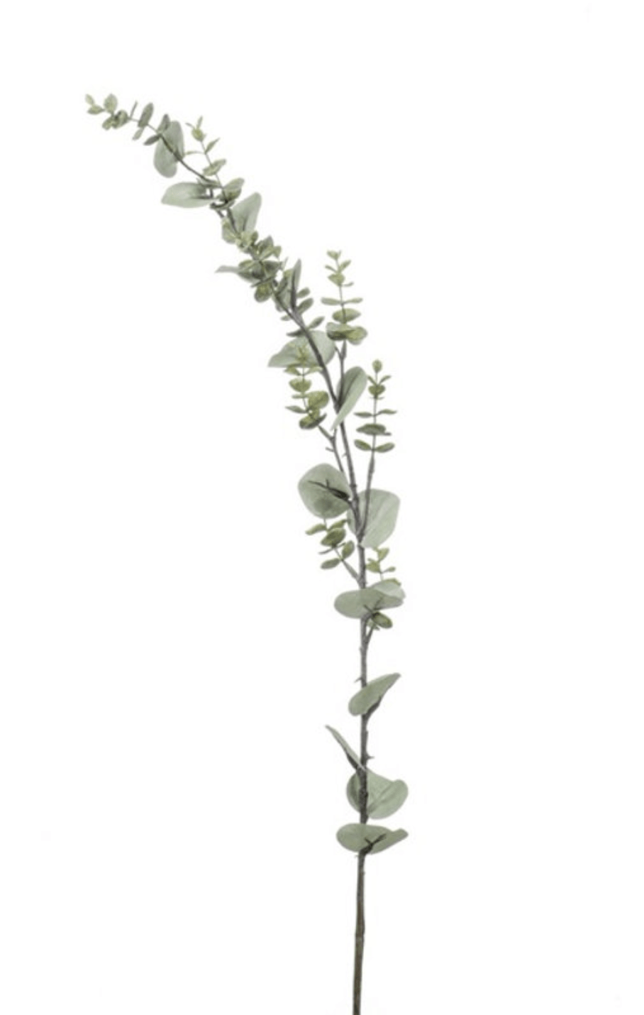 Eucalyptus spray 115cm grey - Sutherland Interiors