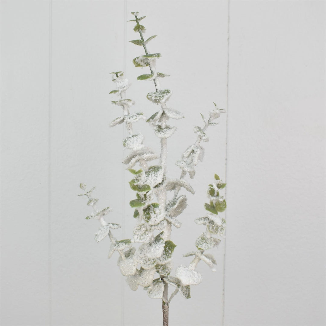 Snowed Eucalyptus Spray
