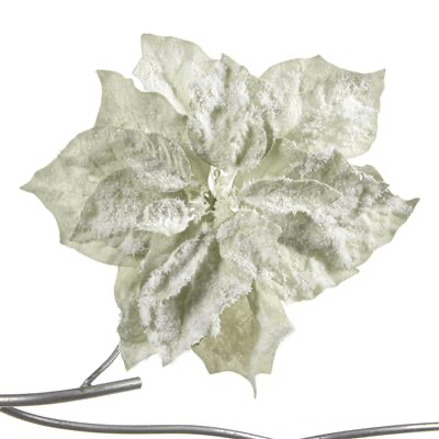 Goodwill Velvet Green/White Poinsettia - Sutherland Interiors