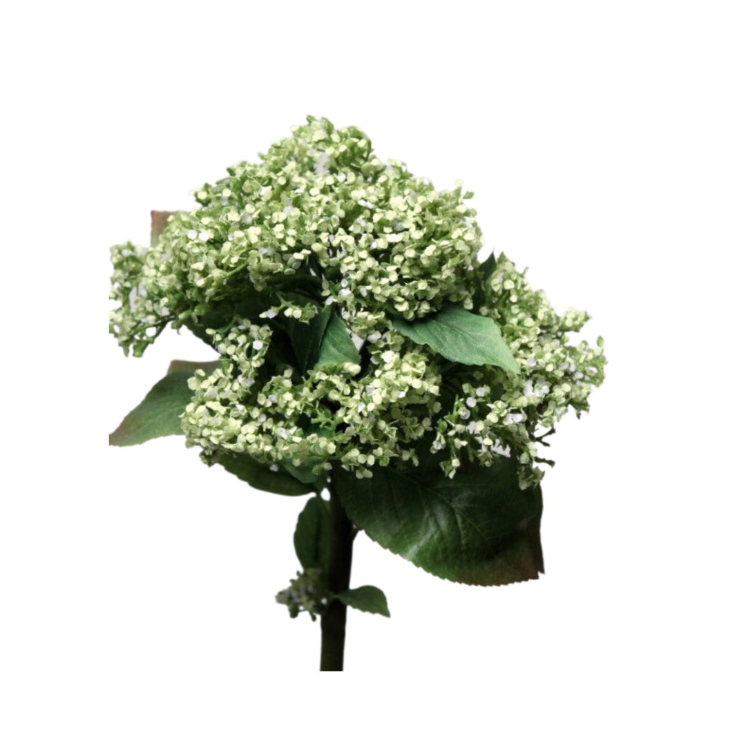 Hydrangea Green - 80cm - Sutherland Interiors