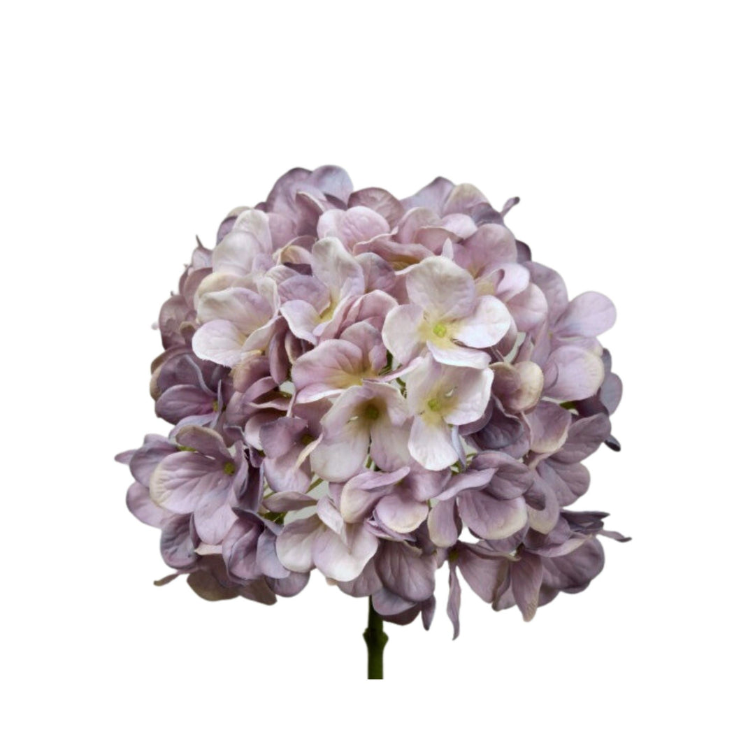 Hydrangea Lavender - 50cm - Sutherland Interiors