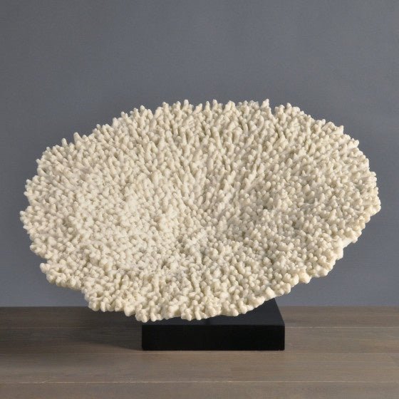 Large Flat Coral Moulding - Sutherland Interiors