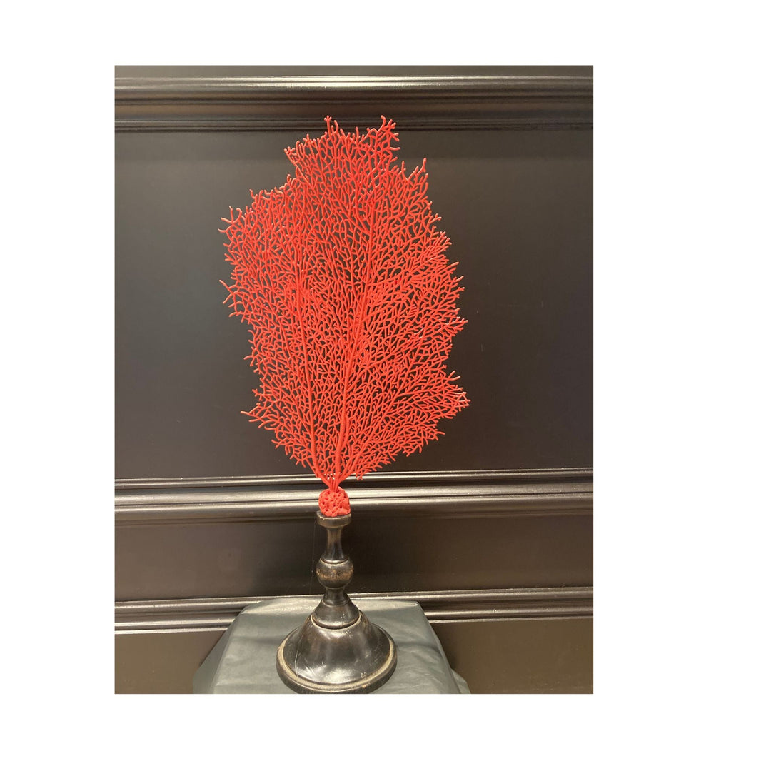 Red Sea Fan on Wooden Base - Sutherland Interiors