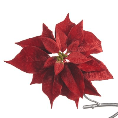 Red Velvet Poinsettia Clip - Sutherland Interiors