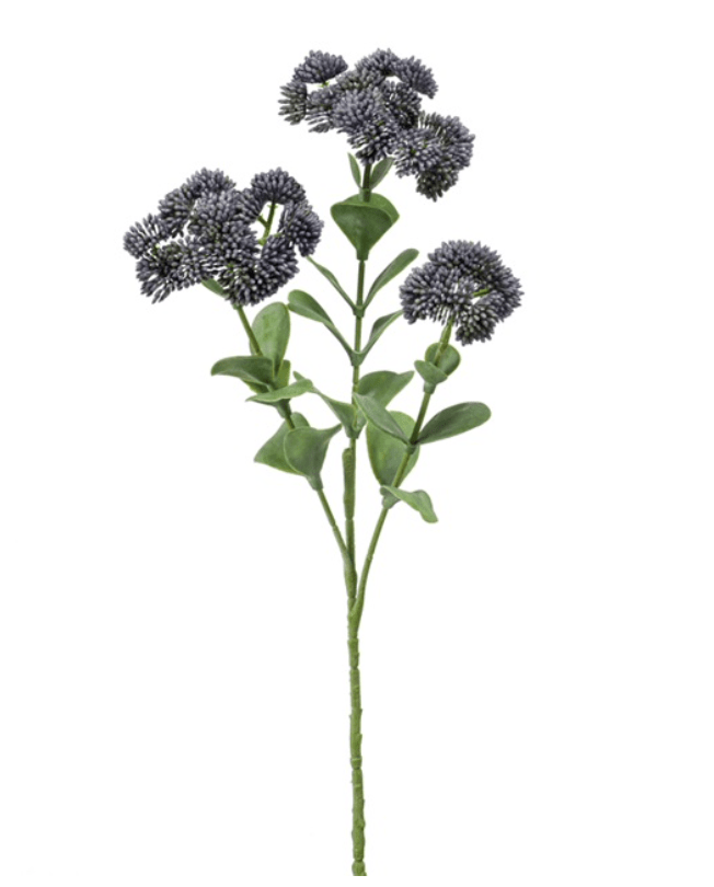 Sedum spray x3 blue 56cm - Sutherland Interiors