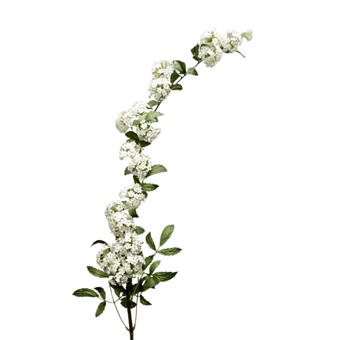 Spirea Cream/White - Sutherland Interiors