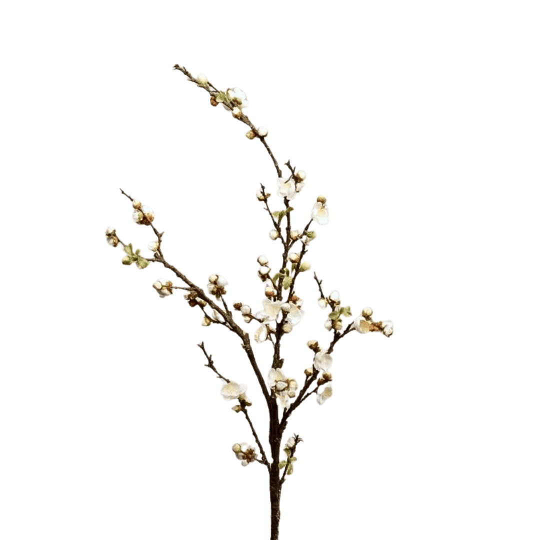 White Peach Blossom - Sutherland Interiors