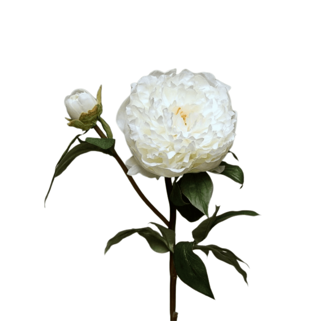 White Peony - Sutherland Interiors