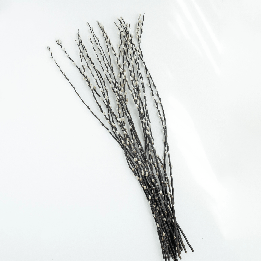 10 Stems Natural Dried Pussy Willow Branches 65cm - Sutherland Interiors