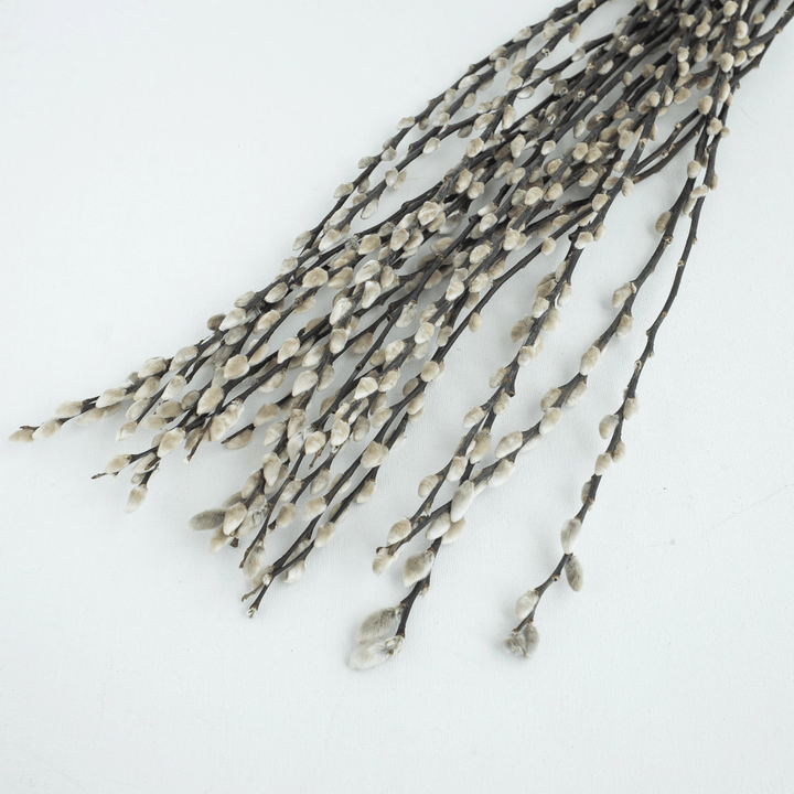 10 Stems Natural Dried Pussy Willow Branches 65cm - Sutherland Interiors