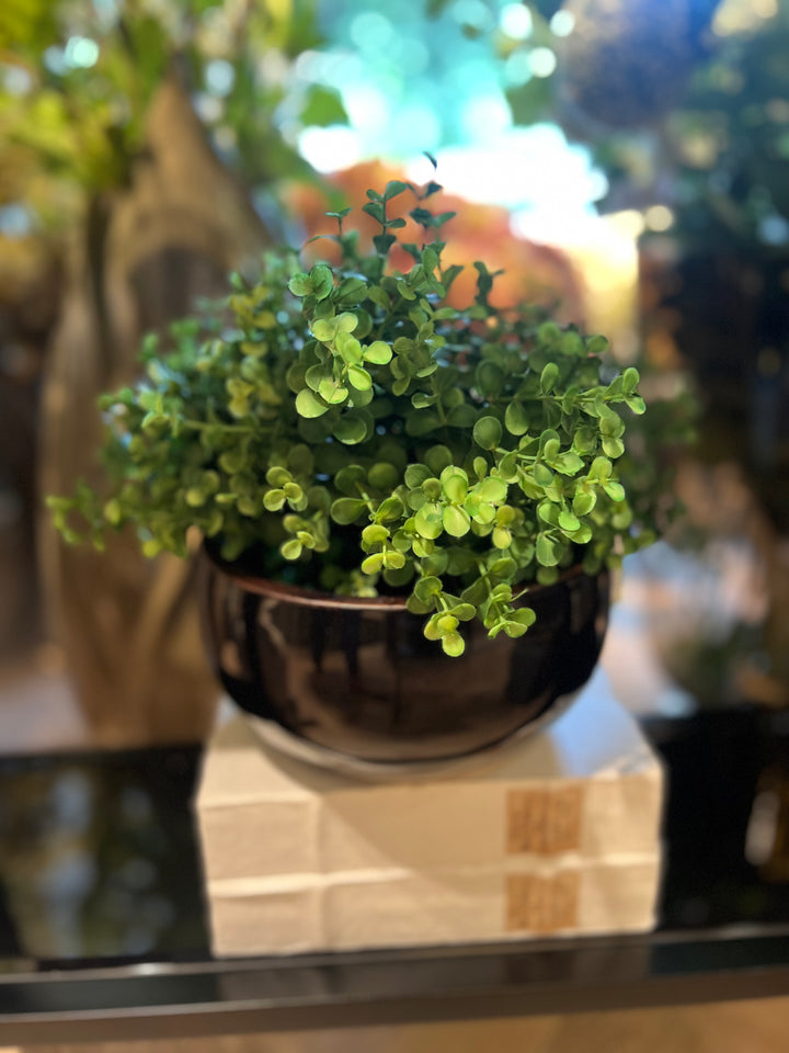 Black Ceramic Pot