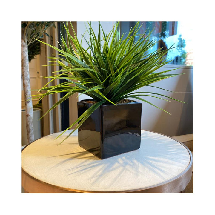 Black Cube Ceramic Planter