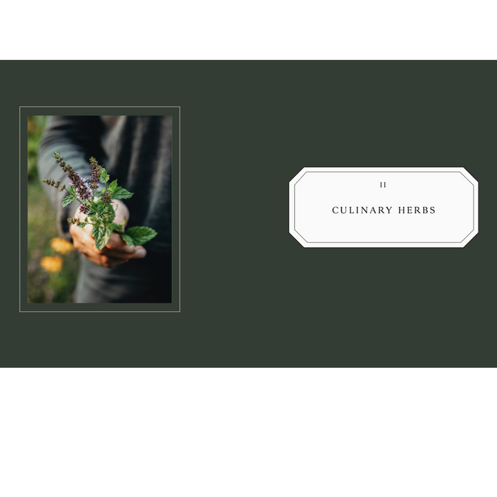Living with Herbs Book