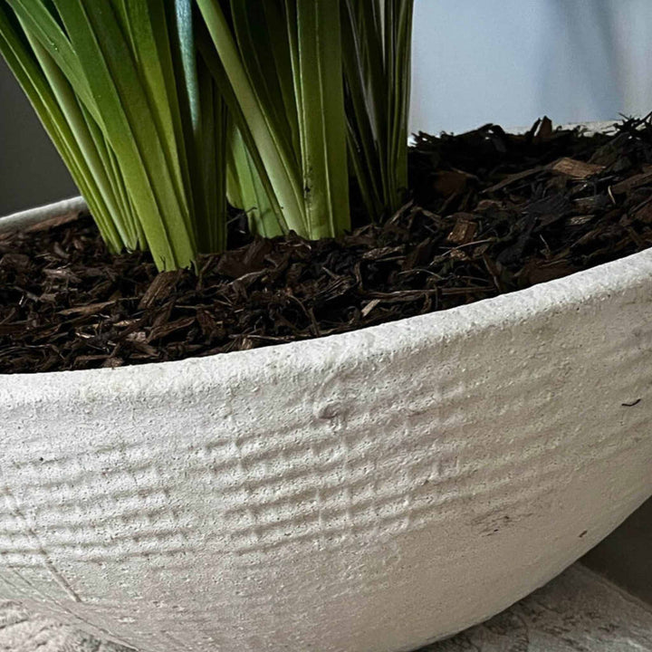 Agapanthus in a White Polystone Bowl - Sutherland Interiors