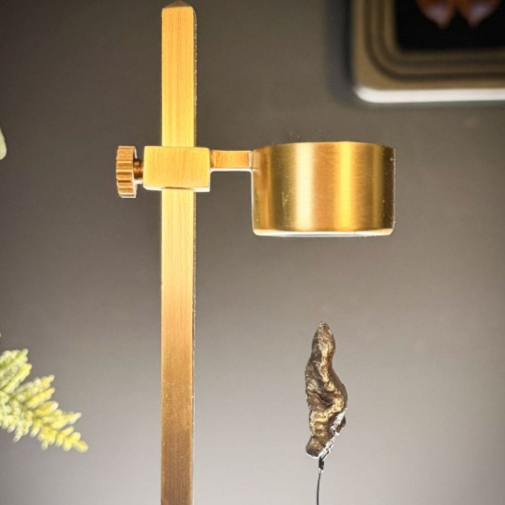 Aletai Meteorite on Brass Stand – China - Sutherland Interiors