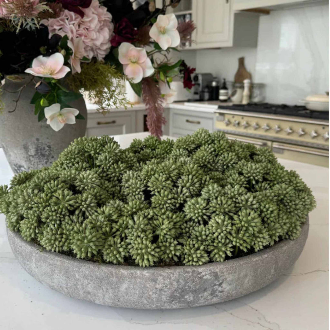 Angelica in a Stone Bowl - Sutherland Interiors