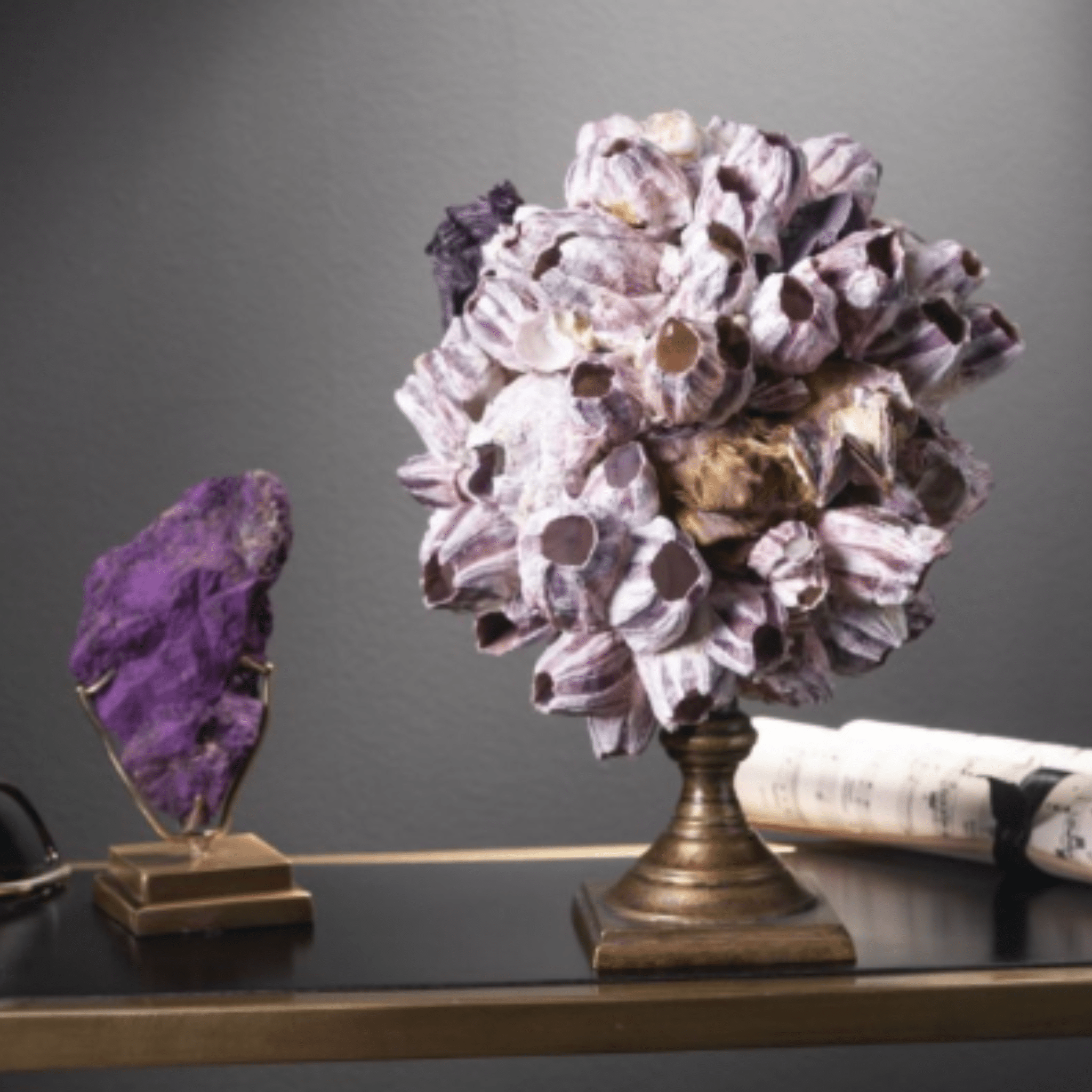 Balanus Shells on Brass – Sutherland Interiors