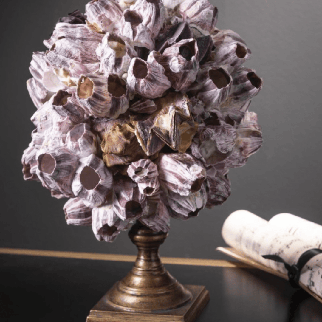 Balanus Shells on Brass - Sutherland Interiors