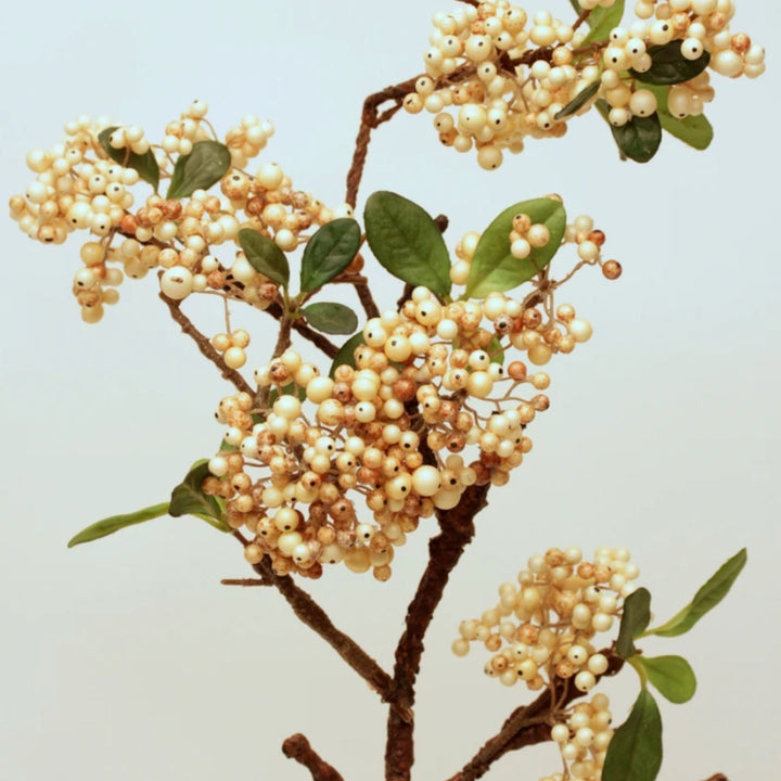 Berry Spray Cream - Sutherland Interiors