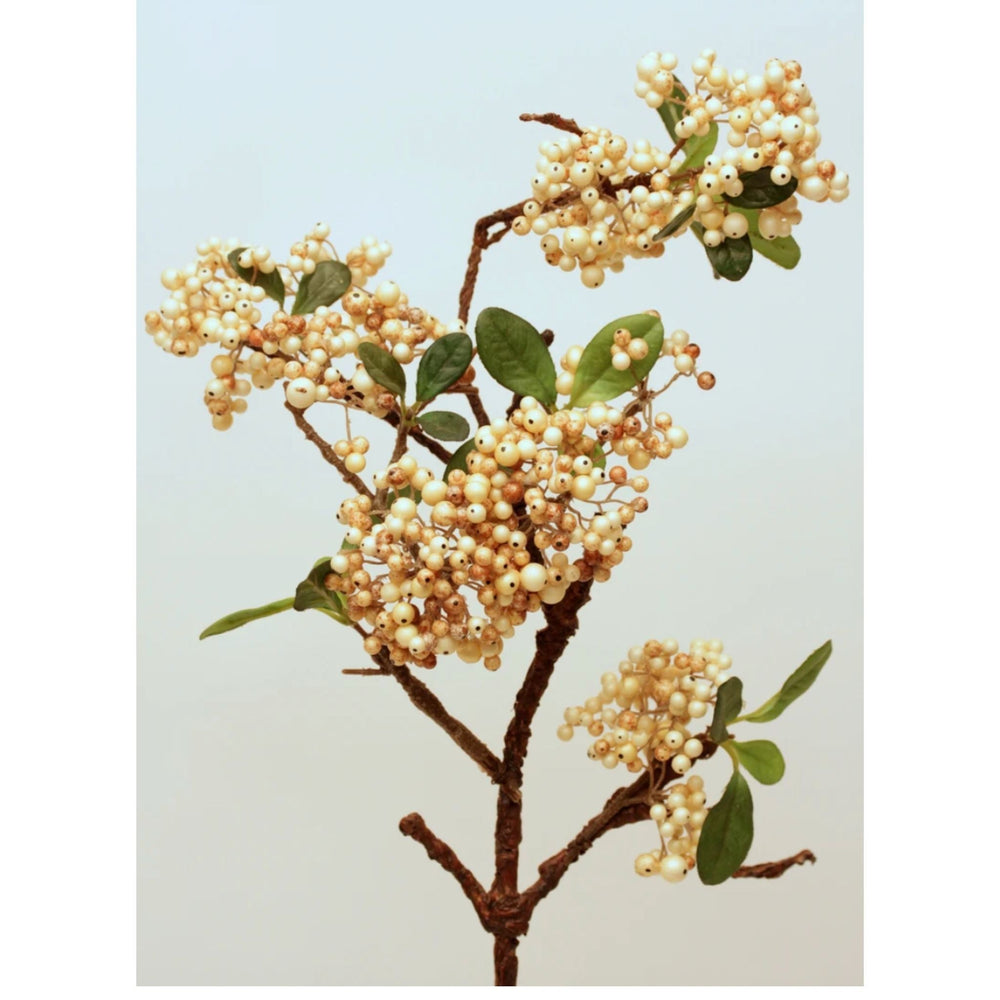 Berry Spray Cream - Sutherland Interiors