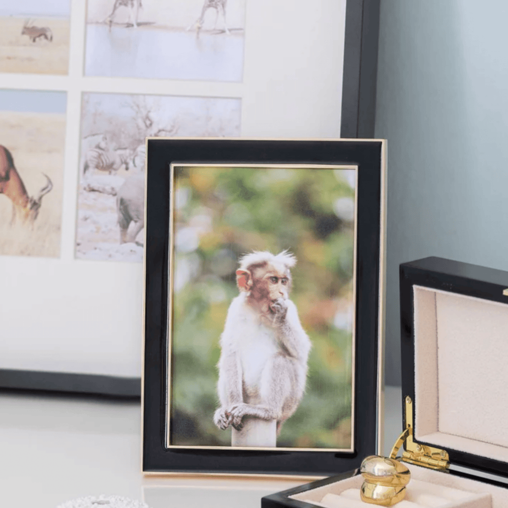 Black & Gold Photo Frame - Sutherland Interiors