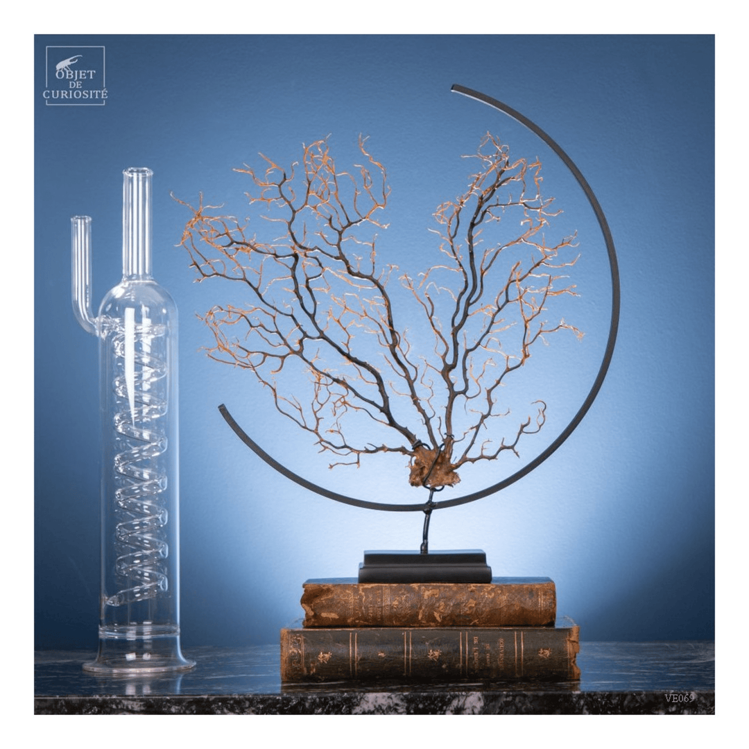Black Gorgonian Coral Sculpture - Sutherland Interiors