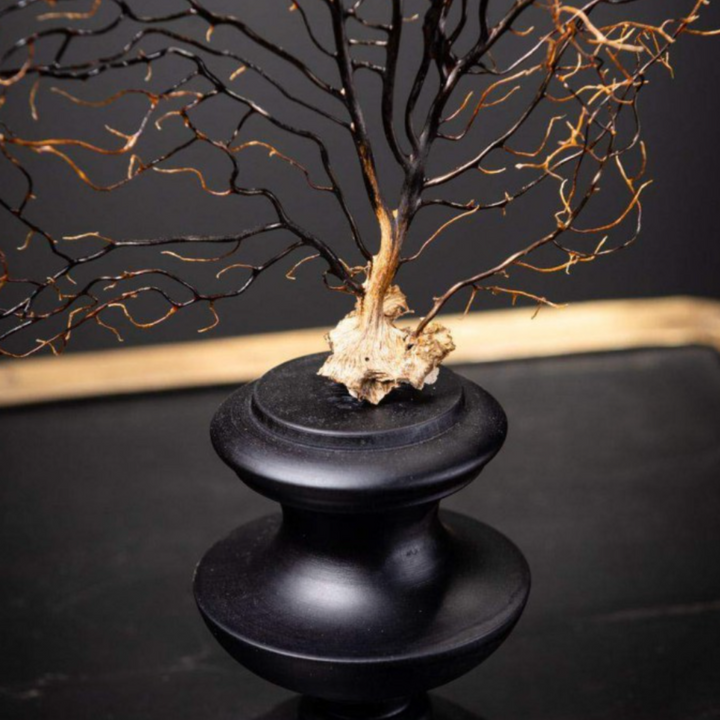 Black Sea Fan on Wood Stand