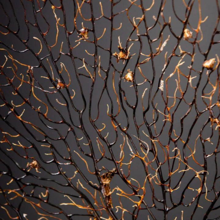 Black Sea Fan on Wood Stand