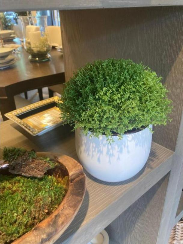 Ceramic planter white - Sutherland Interiors