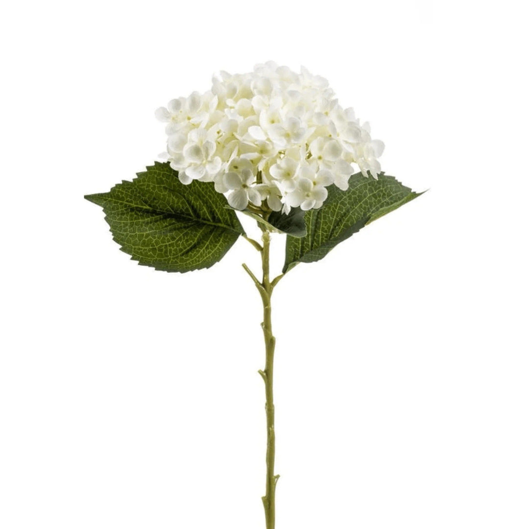 Classic Cream Hydrangea Annabelle Stem - Sutherland Interiors