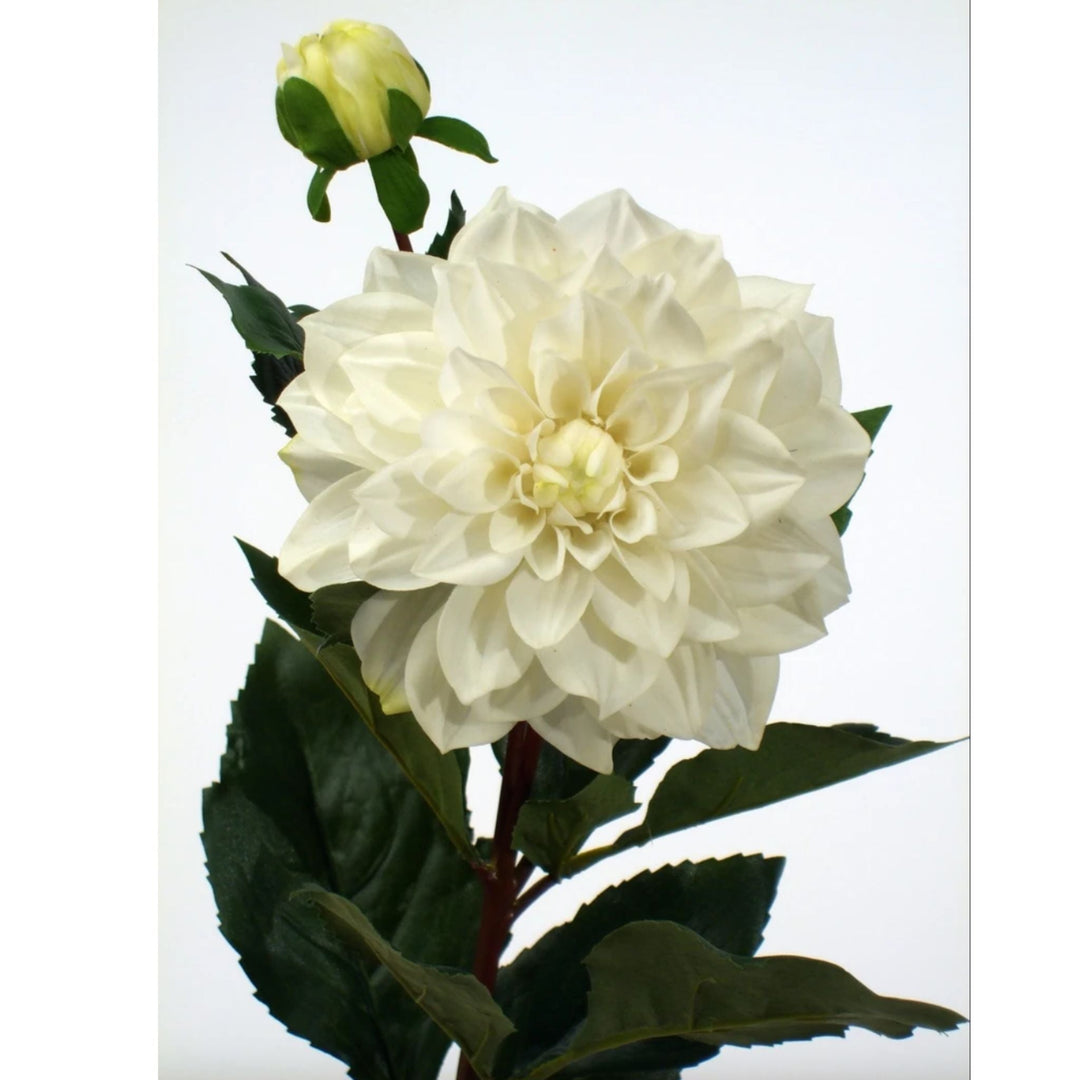 Dahlia Spray White - Sutherland Interiors