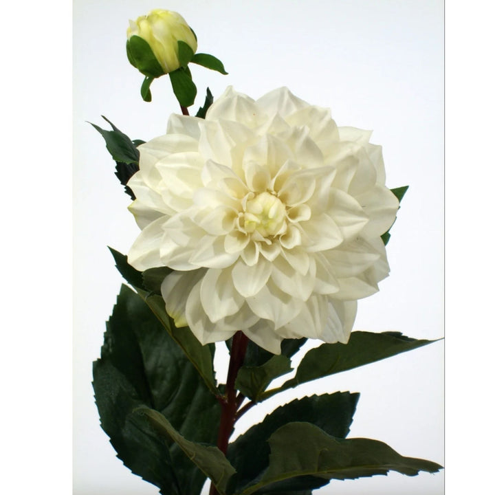 Dahlia Spray White - Sutherland Interiors