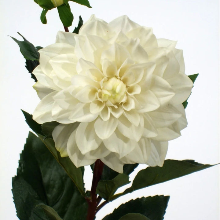 Dahlia Spray White - Sutherland Interiors