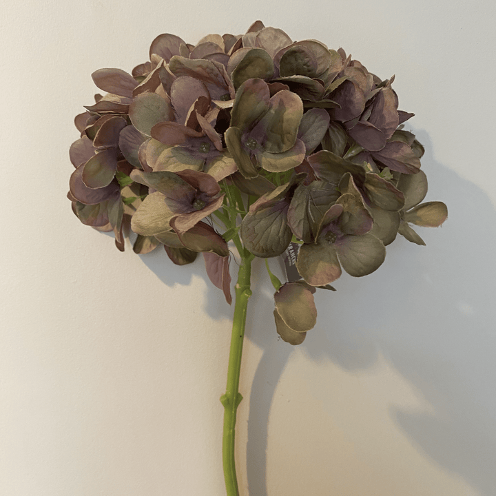 Dark Pink Hydrangea - Sutherland Interiors