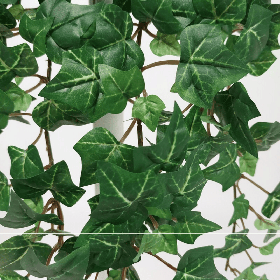 English Ivy Hanging Plant - Sutherland Interiors